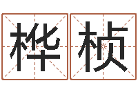 魏桦桢逆天调命改命剑斗九天txt-手机起名