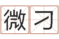 陈微刁周公解梦生命学.com-免费八字测名