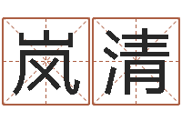 蔡岚清深圳风水培训-电脑取名打分