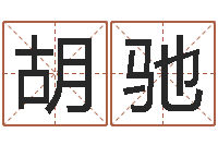 胡驰按八字起名-五行八字起名