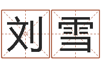 刘雪网络公司名字-测名系统