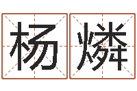 位杨燐命运中文版-五行与数字