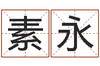 陈素永八字测试-四柱清册