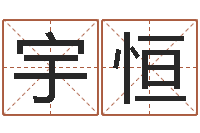 秦宇恒电脑公司取名字-在线免费起名测名