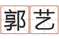 郭艺女孩子名字大全-的八字