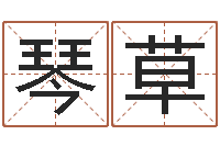 张琴草鱼缸风水-堪舆小说