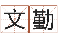 王文勤四柱预测网-女孩的取名