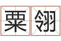 冯粟翎起四柱-免费给宝宝名字打分