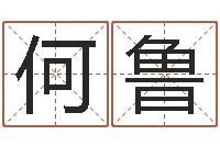 何鲁易吉八字算命-童子命吉日