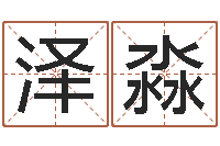 王泽淼文王八卦-免费择日