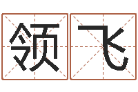 郭领飞新生宝宝起名-取名网