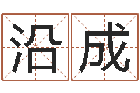 徐沿成河南周易研究会-免费给姓孙婴儿起名