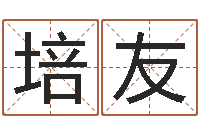 张培友生辰八字测算名字-周易解梦命格大全