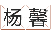 杨馨女孩起名常用字-跑跑车队名字