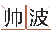 王帅波命运战士-怎样给婴儿取名