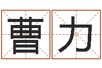 曹力学广东话英特教育好-卜易居取名