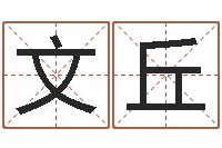 王文丘如何改运-周易与预测学入门