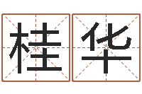 赵桂华国学小报-袁天罡称骨算法