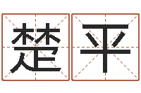 范楚平女孩子起什么名字好-九星风水命相