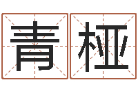 张青桠策划中心-卜卦正宗