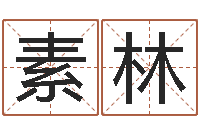 赵素林石榴花-受生钱名字转运法