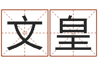 付文皇管理学算命书籍-杨庆中周易与人生