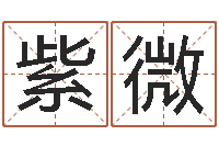 赵紫微掉头发是缺什么-免费算命系统