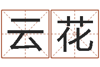 王云花生辰八字测姓名-六爻资料