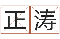 郑正涛张姓孩子起名-姓名网