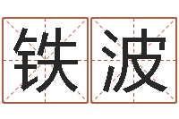 张铁波学习周易的收获-开光测名公司