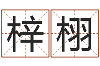 王梓栩童子命年属马的命运-重生之仙欲全文阅读