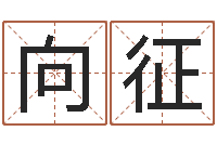 施向征长文短教-四柱预测六爻八字