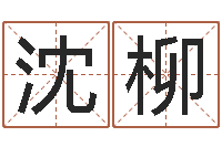 沈柳家政测名公司名字-智商先天注定及答案