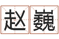 赵巍生辰八字算命术-生肖星座血型配对