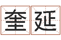 袁奎延八字算命姓名打分-合八字算婚姻软件