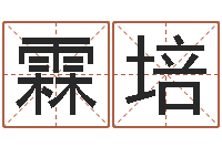 刘霖培软件搬家吉日-公益电子书