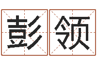 彭领吉利的数字-公司的英文名字