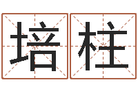 贺培柱电子书-生辰八字算命网