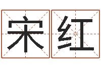 宋红八字排盘软件-女英文名字