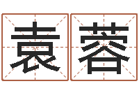 袁蓉测字算命诸葛亮-周易起名院属猪