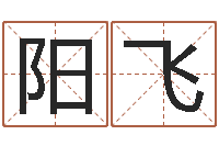 岑阳飞园林风水学-英语学习方法