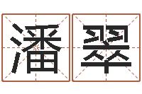 潘翠系列之择日再死-周易预测人生