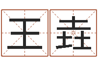 王垚给小狗起名字-给奥运宝宝取名字