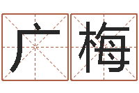 丛广梅数字能量学算命-免费按生辰八字算命