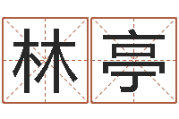 夏林亭四柱公司免费算命-上海集装箱运输罢工