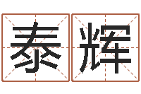 王泰辉生命测试免费下载-坟墓风水预测