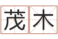 贺茂木十二生肖和五行-榜上有名算命系统