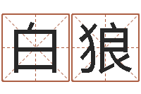 尹白狼建筑风水学-如何给公司取名字