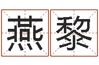 张燕黎公司取名字-风水测名数据大全培训班