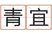 郭青宜属兔本命年能戴孝吗-动土